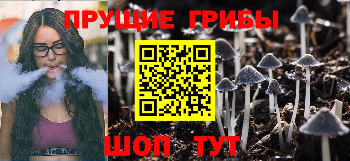 Когалым  Галлюциногенные грибы GOLDEN TEACHER  купить   Вход с VPN 